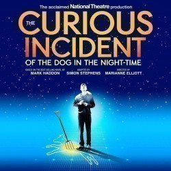 The Curious Incident of the Dog in the Night-Time