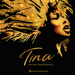 Tina The Musical Tina The Musical