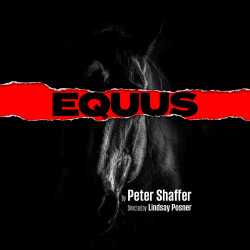 Equus